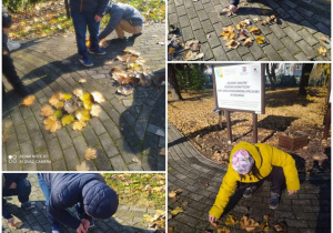 Jesienne zabawy w ogrodzie szkolnym